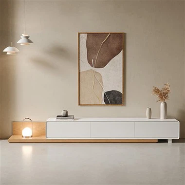 এক্সটেন্ডেবল টিভি ইউনিট